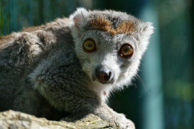 Besichtigung - Workshop: Biodiv' auf der Bühne