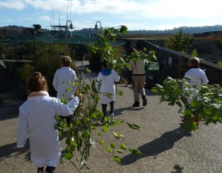 Attività: Soigneur di mezza giornata per adulti e bambini