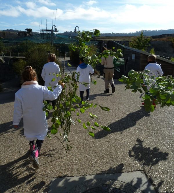 Attività: Soigneur di mezza giornata per adulti e bambini