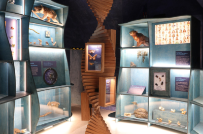 Visit the Naturalium: At the heart of biodiversity