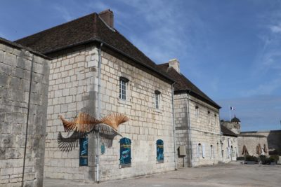 Bio-débat