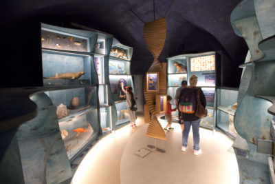 Visite du Naturalium