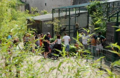 Découverte du Jardin  zoologique