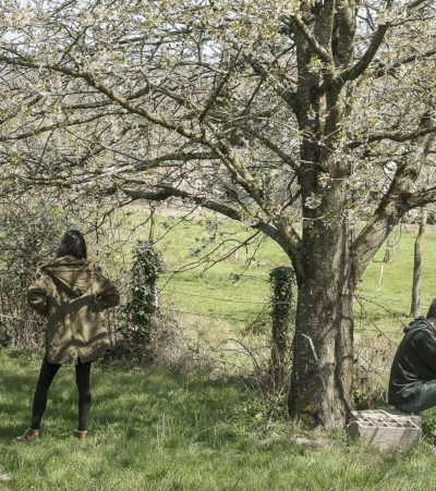 Exposition “CANTI. Vie remarquable des arbres et vie quotidienne”