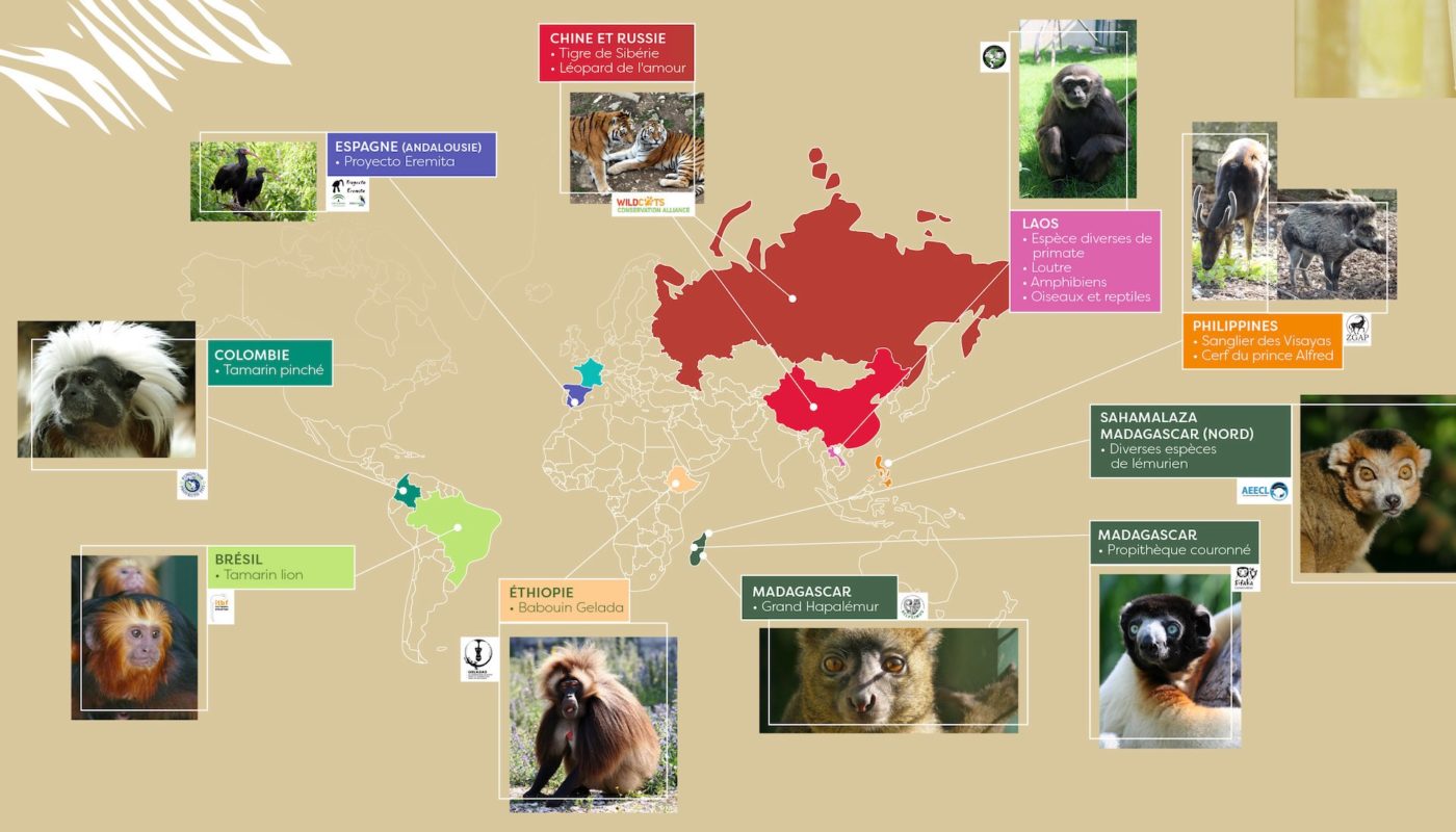 ブザンソン美術館 ブザンソンのシタデル