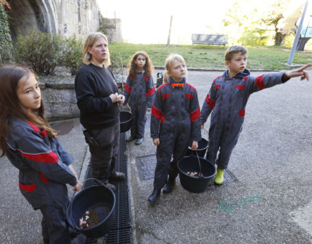 Activité : Demi-journée soigneur pour adultes et enfants