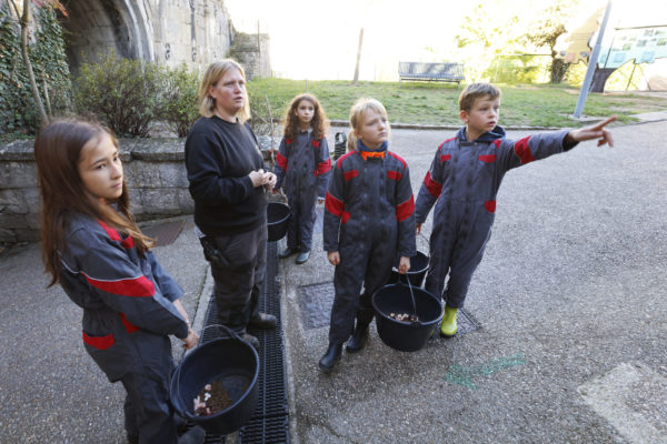 Activité : Demi-journée soigneur pour adultes et enfants