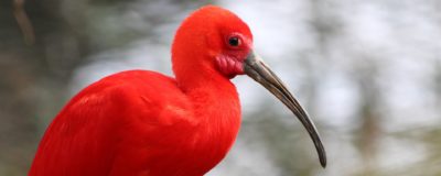 Jardin zoologique pour les plus petits
