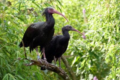 Besuch des Zoologischen Gartens