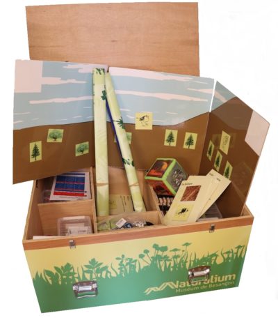 The Naturalium educational trunk