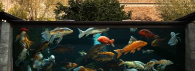 Visite-atelier ‘Le déjeuner des carpes Koï’