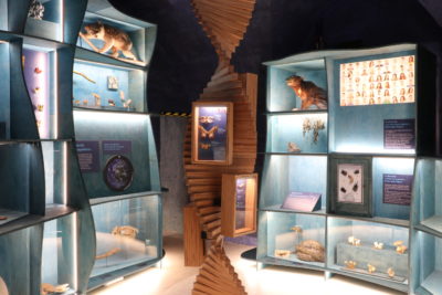 Visite ‘une histoire naturelle’
