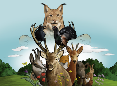 Atelier : Sur les traces du Lynx boréal