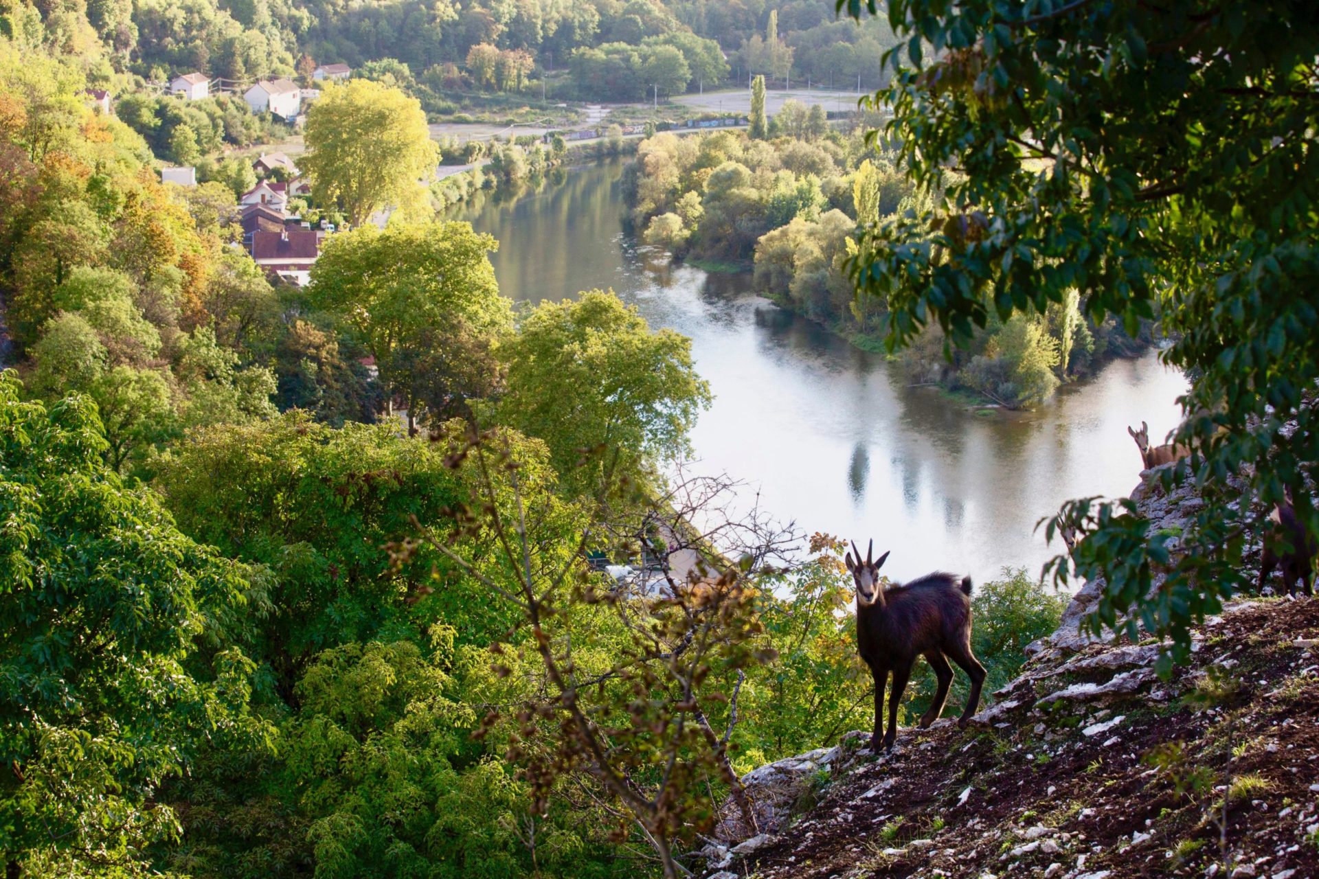 Wochenende der Biodiversität