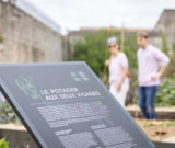 Rendez-vous aux jardins : la Citadelle se met au vert