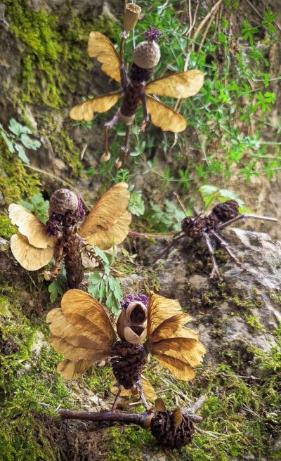Surprenante nature