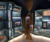 illustration Visite guidée du Naturalium