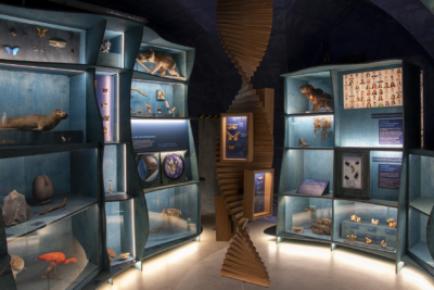 Visite guidée du Naturalium