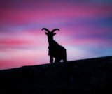 illustration Visite nocturne