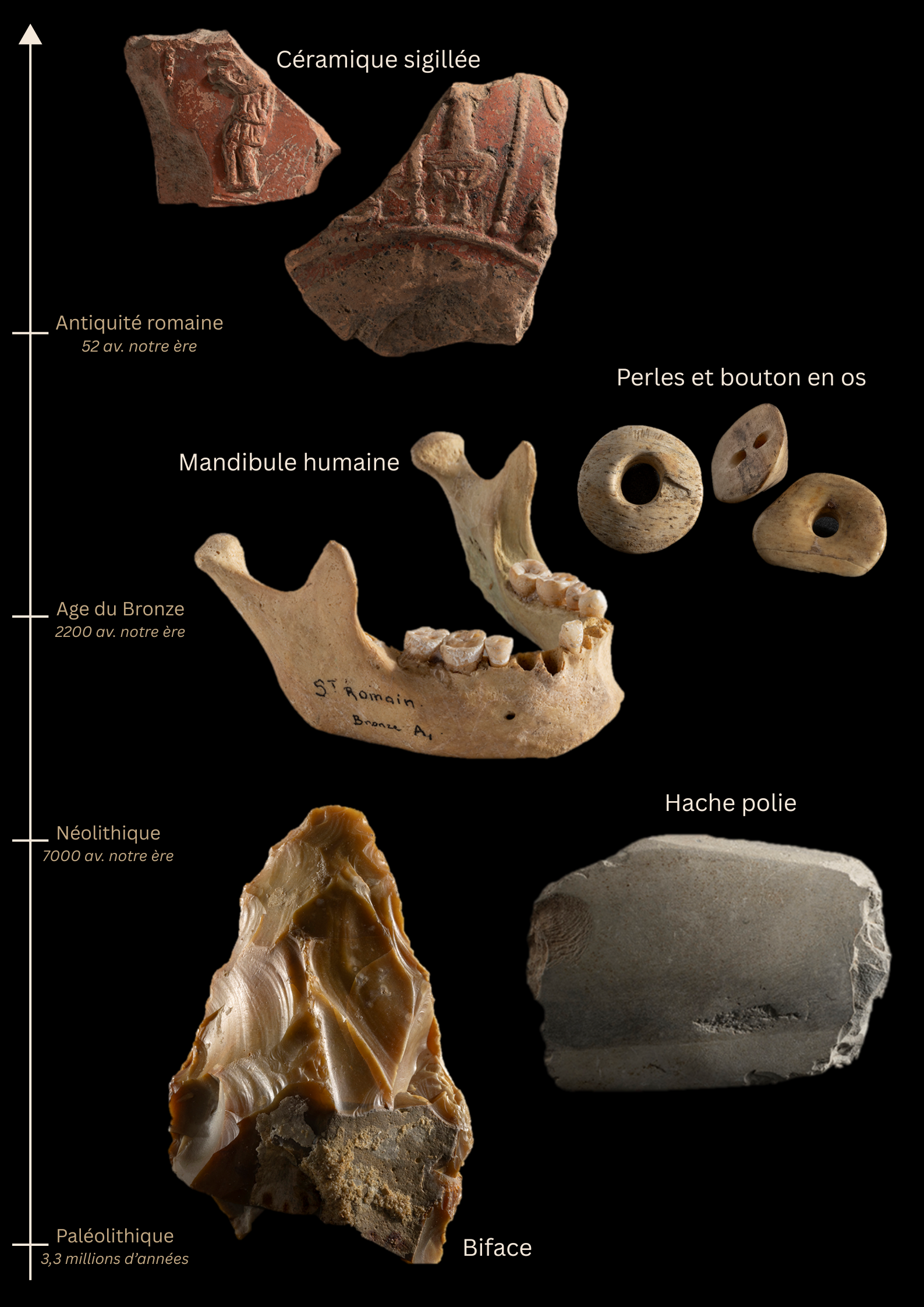 La collection d’archéologie du Muséum 