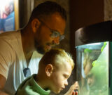 Nuit des Musées : Aquarium & Insectarium