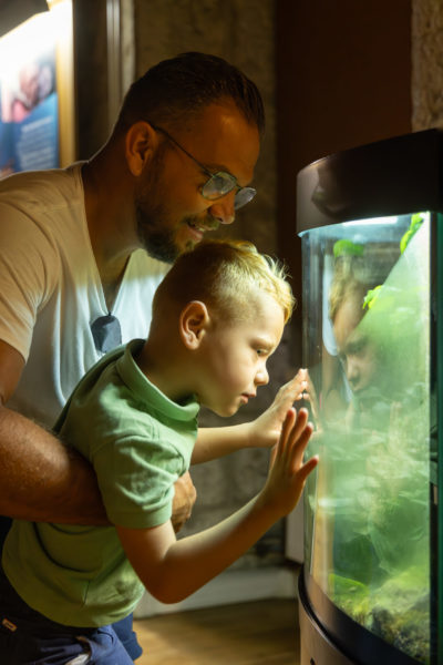Nuit des Musées : Aquarium &amp; Insectarium