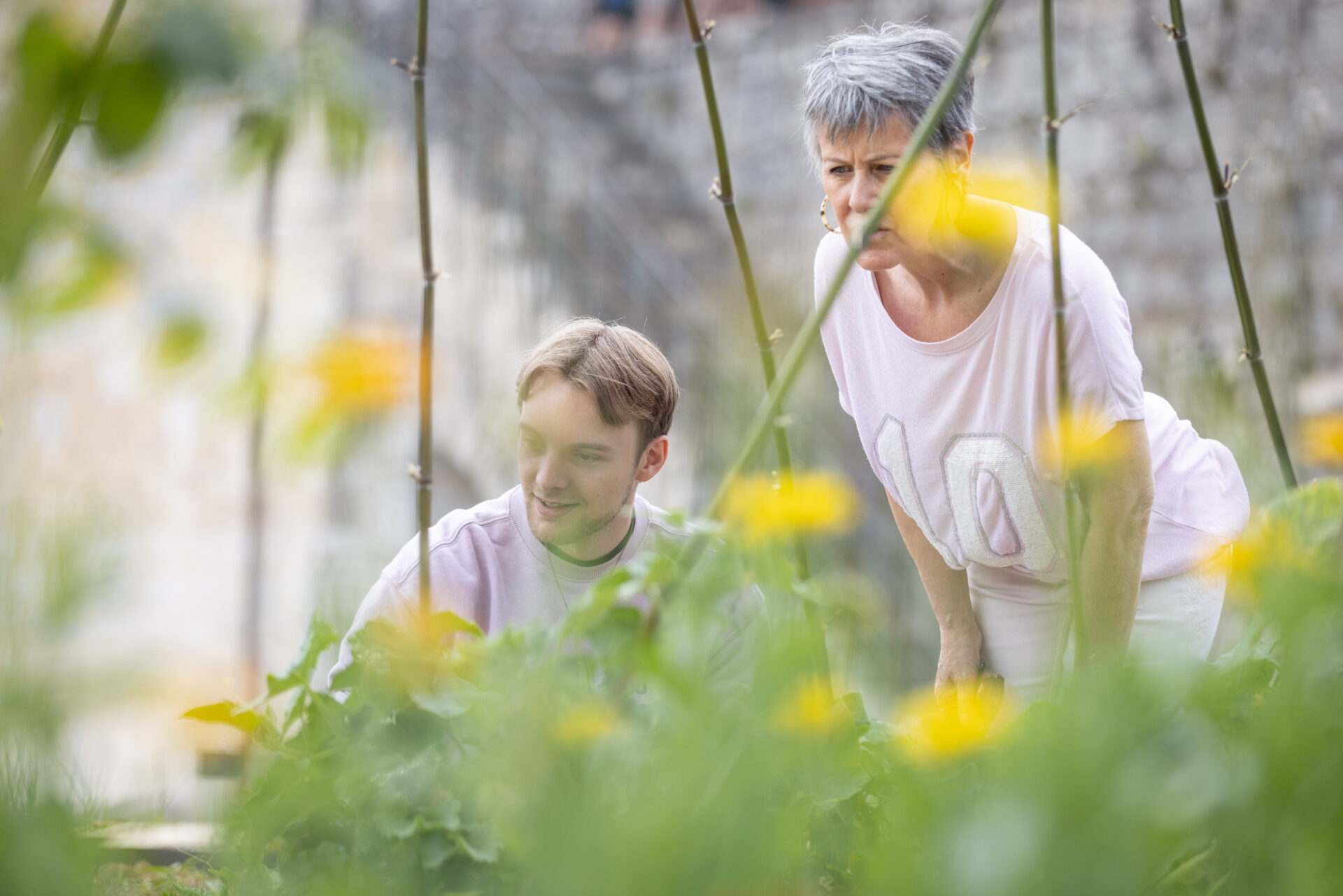 Rendez-vous aux jardins