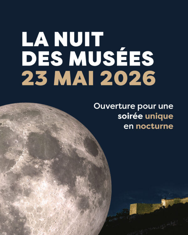 Nuit des musées : une soirée entre Histoire, art et sciences naturelles