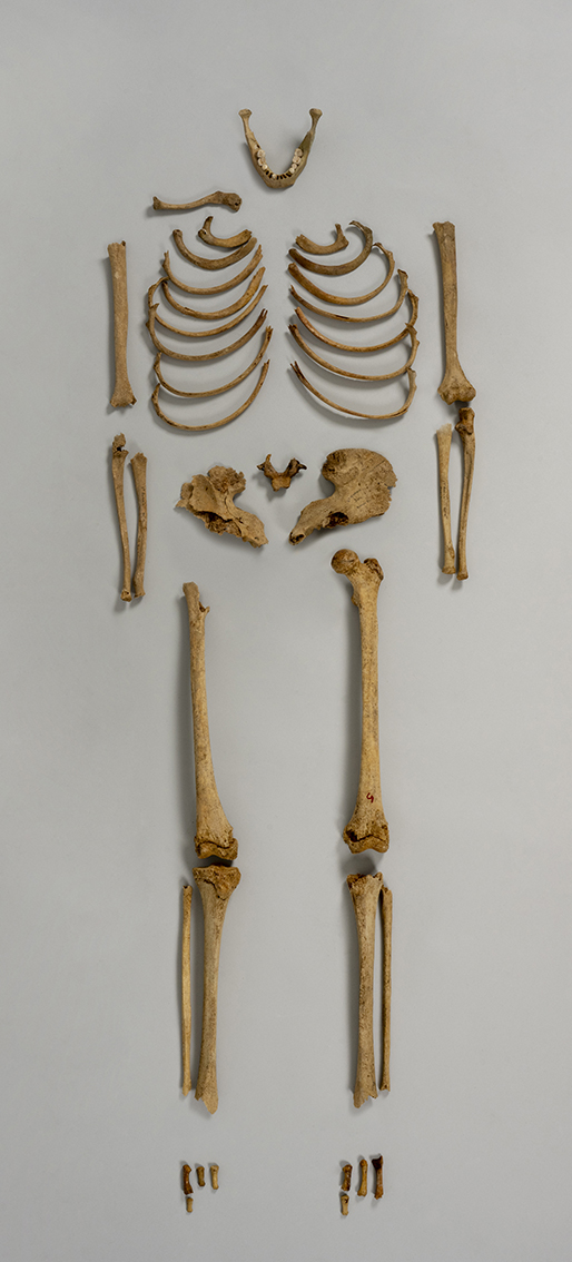 L’archéoanthropologie au Muséum 