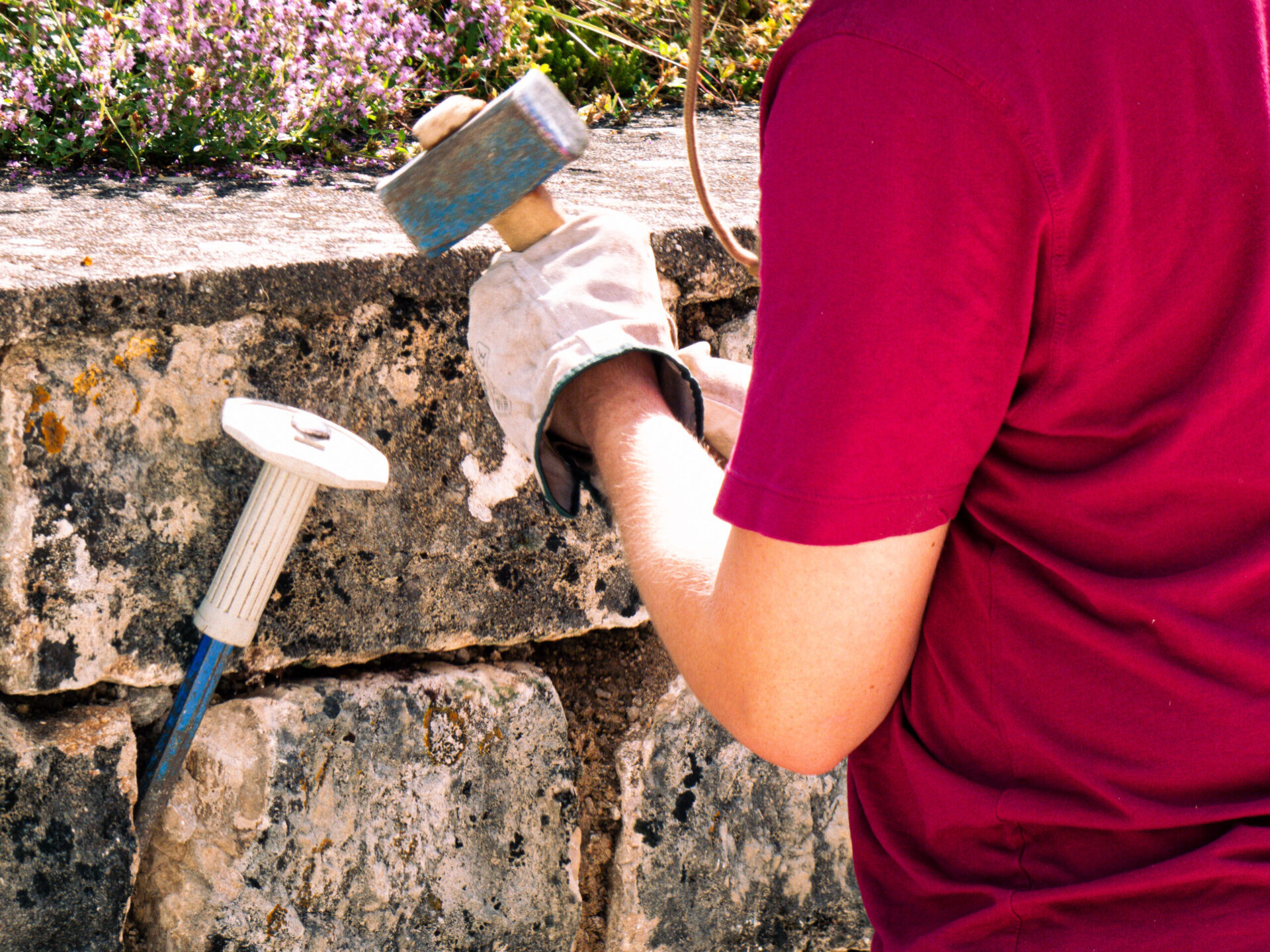 Chantier de jeunes