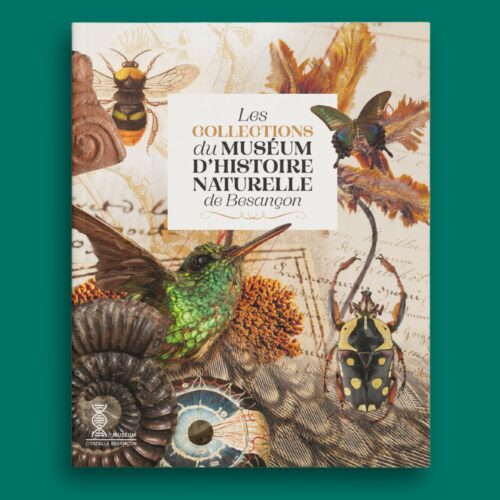 The Besançon Natural History Museum unveils a new book dedicated to its collections