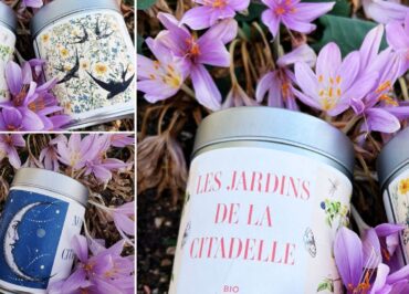 Boutique : Quatre nouvelles tisanes inspirées de la Citadelle