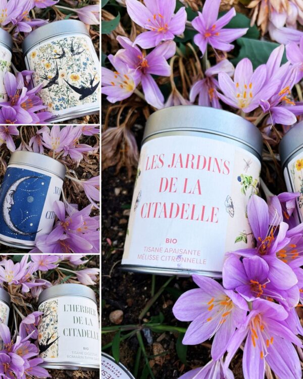 Boutique : Quatre nouvelles tisanes inspirées de la Citadelle