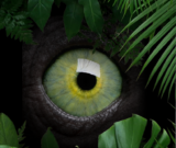 Entre nature et mystère