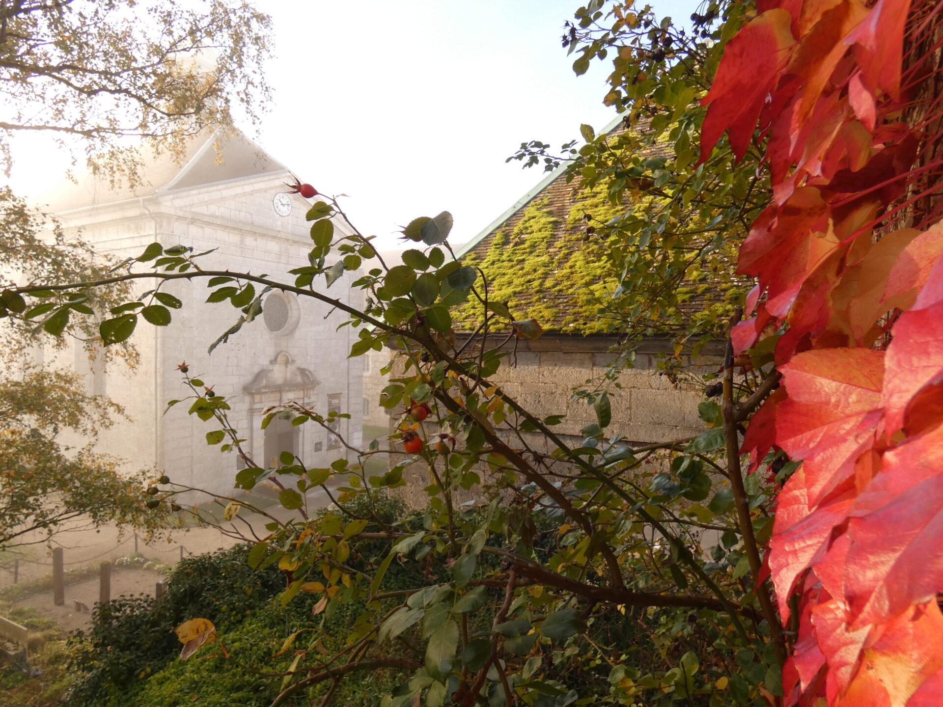 Vacances d&rsquo;octobre à la Citadelle